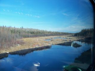 water and bogs