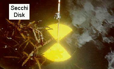 Secchi disk in action
